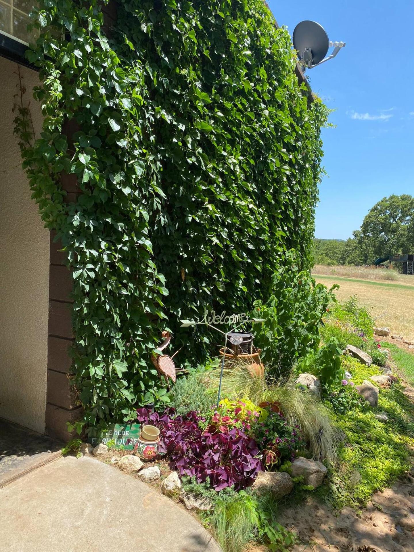 Nature Retreateclectic Country Boho Farmhouse Nocona Exterior foto